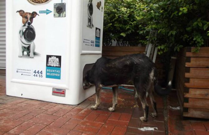 Ovaj automat hrani pse lutalice (VIDEO)