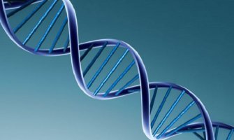 Geni otkrivaju vrijeme smrti