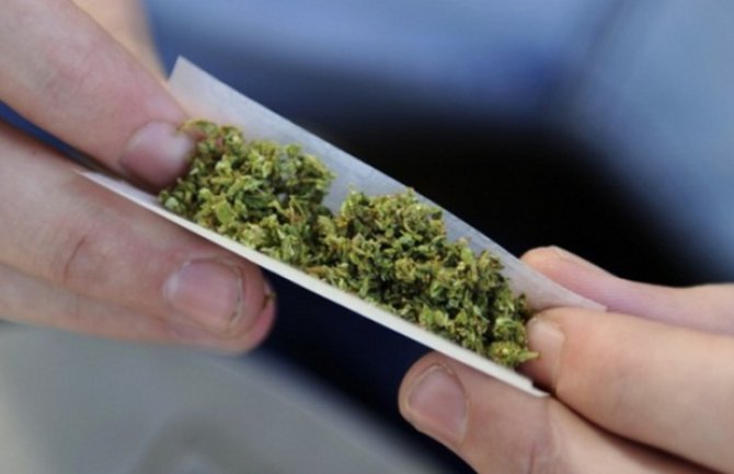 Pljevlja: U autu pronađena marihuana, diler otkriven i uhapšen