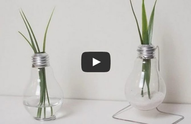 Zašto bacati sijalicu kad od nje možete napraviti  vazu! (VIDEO)