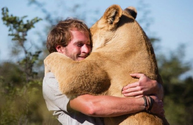 Lav zagrlio čovjeka koji mu je spasao život (VIDEO)