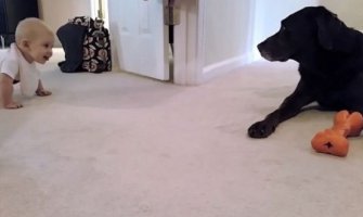 Beba i pas: Dva drugara stara (VIDEO)