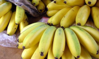 Bananama prijeti opasnost, mogle bi potpuno nestati