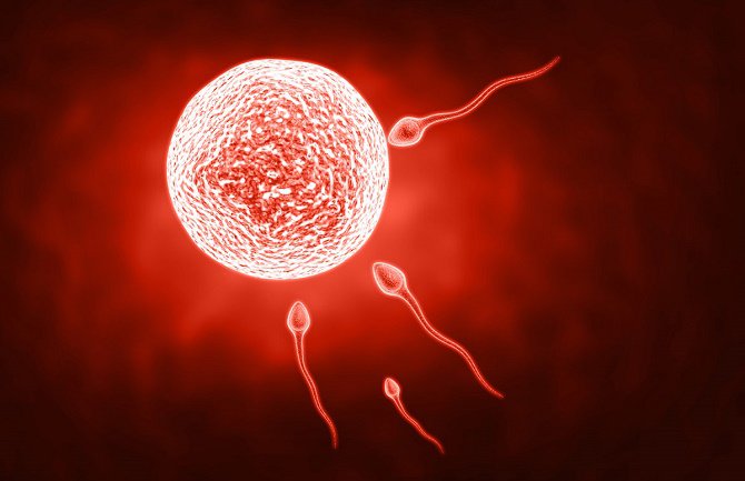 Koji muškarci imaju najzdravije spermatozoide?