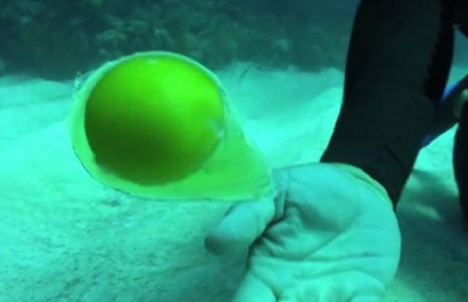 Šta se dešava kada razbijete jaje na dnu okeana?