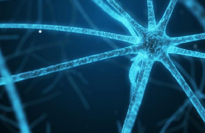 Naučnici prvi put zabilježili nastanak sjećanja u mozgu