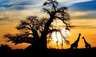 Afrika traži 12,5 milijardi dolara od svijeta za borbu protiv klimatskih promjena