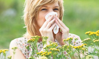 Ublažite simptome alergije na polen ambrozije