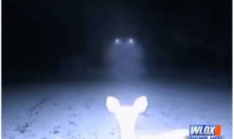 Kamera postavljena u šumi snimila vanzemaljce? (VIDEO)