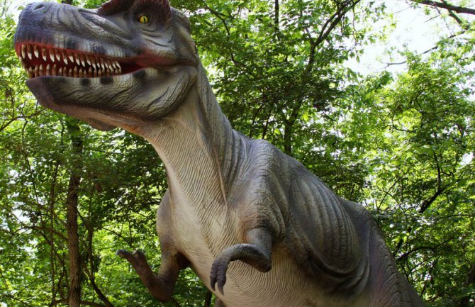  Argentinski naučnici  otkrili novu vrsta dinosaurusa