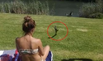 Kobra naletjela na djevojku, a njena reakcija je oduševila internet (VIDEO)
