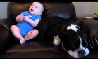 Beba napunila gaće, a reakcija psa će vas nasmijati do suza (Video)
