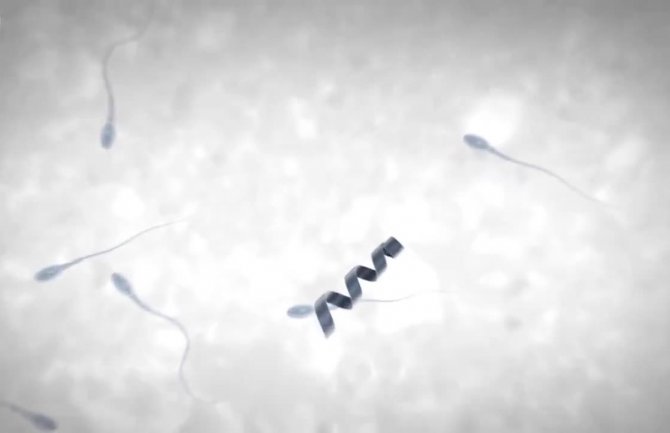 STERILITETU je došao kraj: Napravljeni roboti koji vode spermatozoide do jajne ćelije (VIDEO)