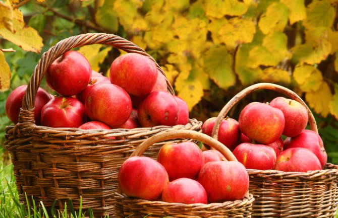 Ovo su zdravi načini kako treba jesti jabuke
