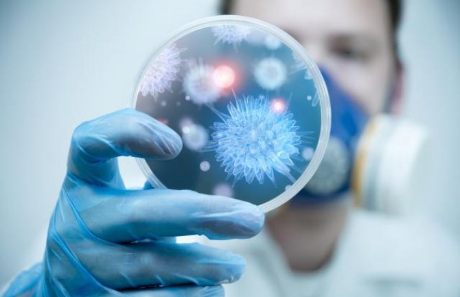 Naučnici u borbi protiv 1,6 miliona neotkriveih virusa 