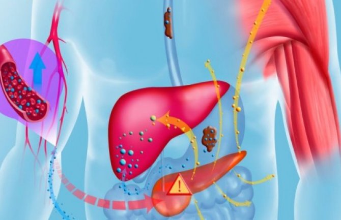 Znakovi da imate masnu jetru i kako da je očistite 