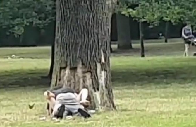 Besramni par snimljen tokom seksa u parku (Video 18+)