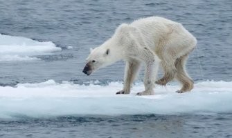 Poslednje upozorenje pred katastrofu: Arktik ostaje bez leda već u ljeto 2030