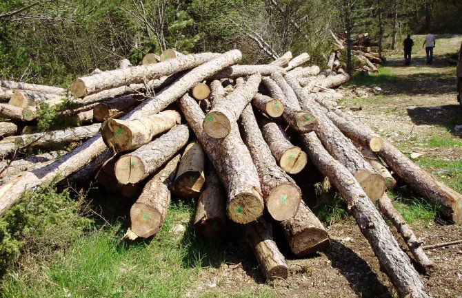 Kolašinac osumnjičen da je oštetio Upravu za šume za 4 hiljade eura