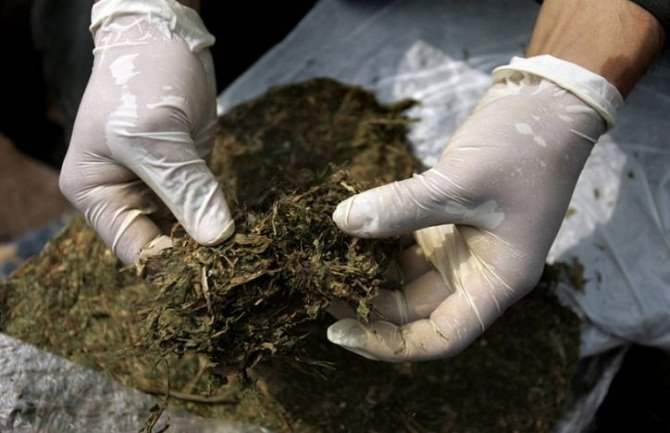 Pretresima na Cetinju pronađena i oduzeta marihuana