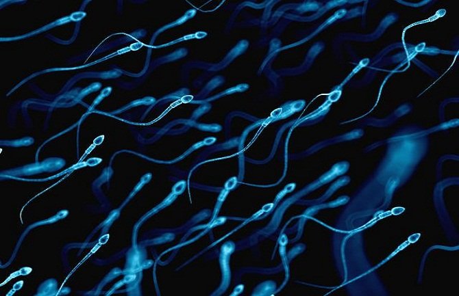 Znate li šta se desi sa organizmom ako progutate spermu?