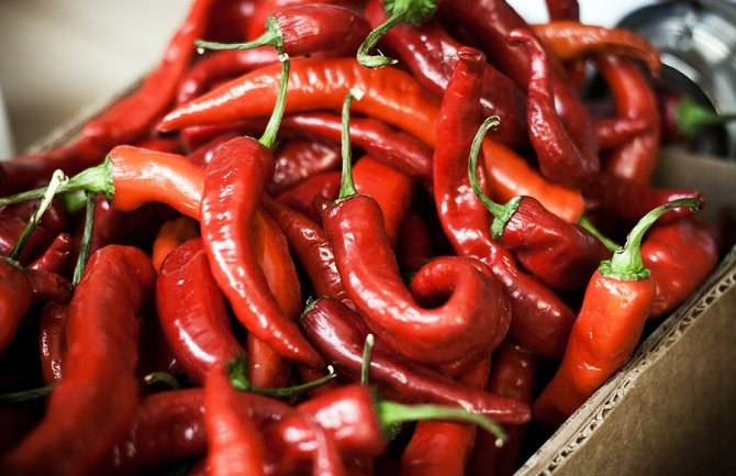 Konzumiranje ljute papričice smanjuje stopu smrtnosti