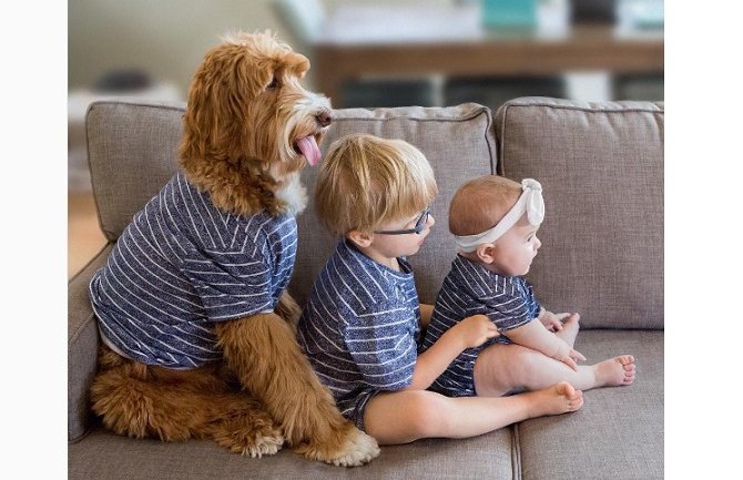 Pas i dječak nerazdvojni prijatelji i osvajaju internet