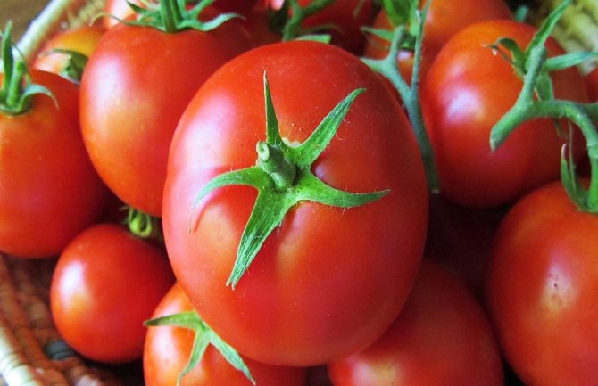 Svakodnevna konzumacija paradajza smanjuje rizik od raka za 50%