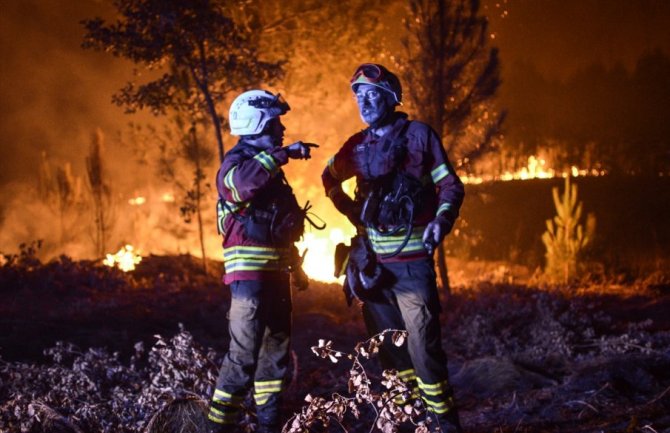 Portugal: Hiljadu vatrogasaca se i dalje bori sa šumskim požarima