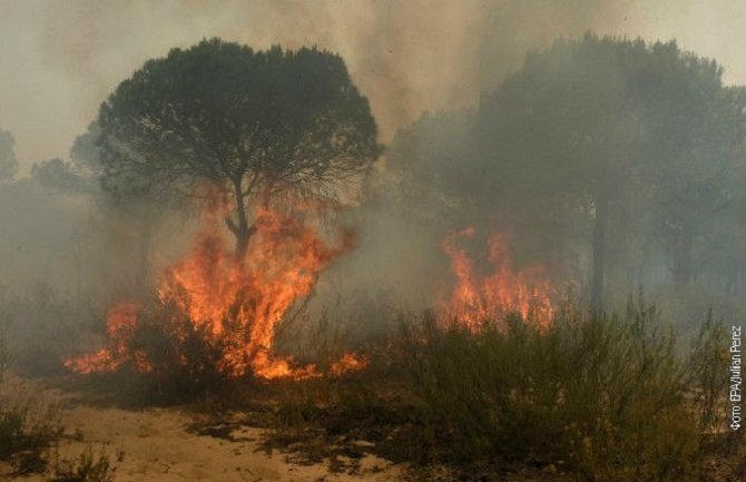 Požar u Španiji, evakuisano više od 1.500 ljudi