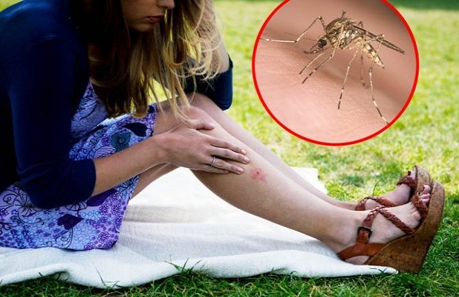 Saznajte zašto komarci neke ljude ujedaju češće od drugih