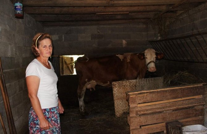 BIH: Zatečen kako siluje kravu u štali, mještani taoci manijaka