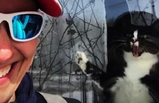 Mačak svaki dan pozdravlja poštarku na neobičan način (VIDEO)