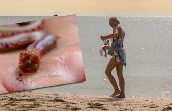 Na plaži vrijeba jezivi crv koji napada otrovnim metalnim zubima (VIDEO)