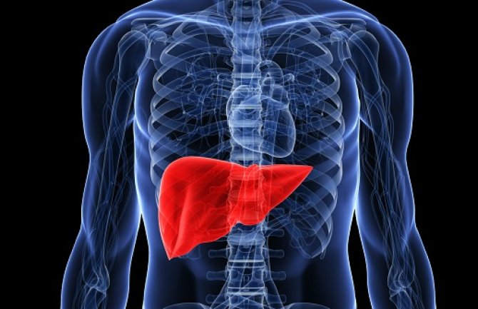 Ovih 11 znakova pokazuju da vam je jetra u opasnosti