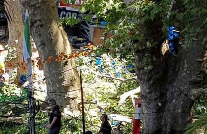 Tokom vjerskog festivala palo drvo, najmanje 11 mrtvih