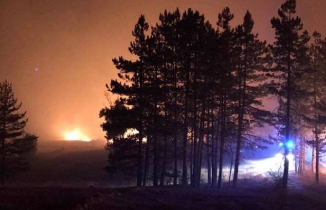 Cetinje: Iz Opštine apeluju da se pomogne u gašenju požara