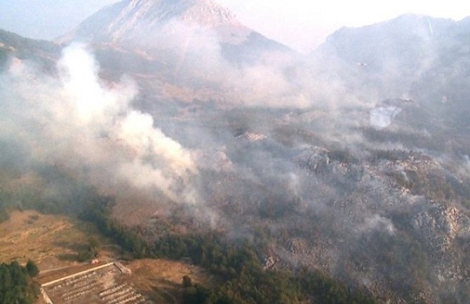 Situacija sa požarom u NP Lovćen pod kontrolom