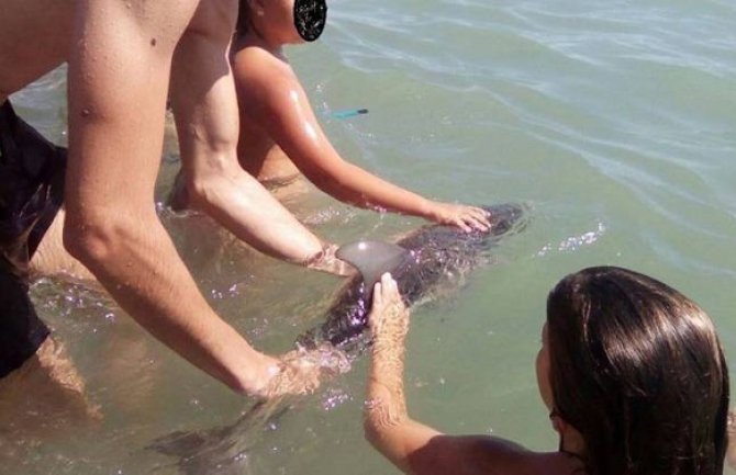 Turisti  zbog selfija ubili bebu delfina
