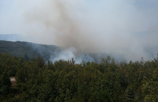 Ogroman požar kod Nikšića, kuća spašena u poslednjem trenutku