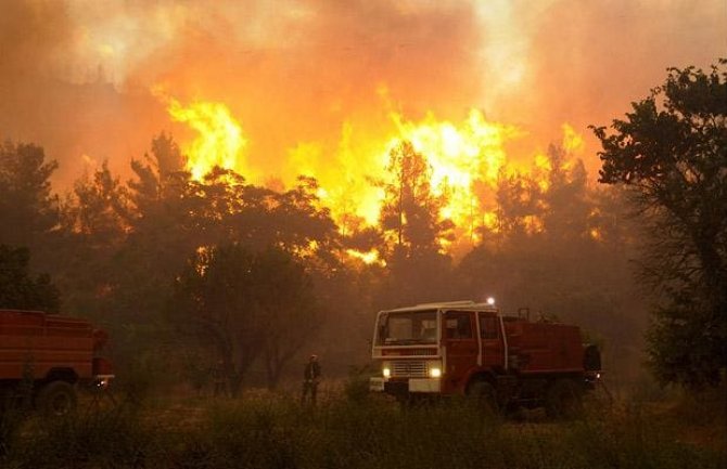  Šumski požar na jugu Francuske stavljen pod kontrolu: Izgorjelo 460 hektara šume