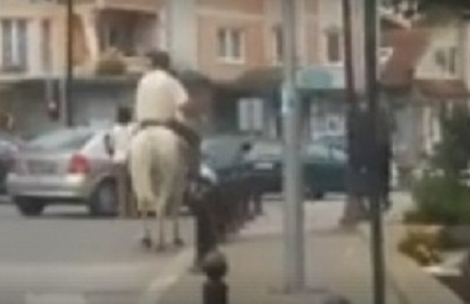 Prošao kroz crveno: Važe li za konja saobraćajni propisi? (Video)