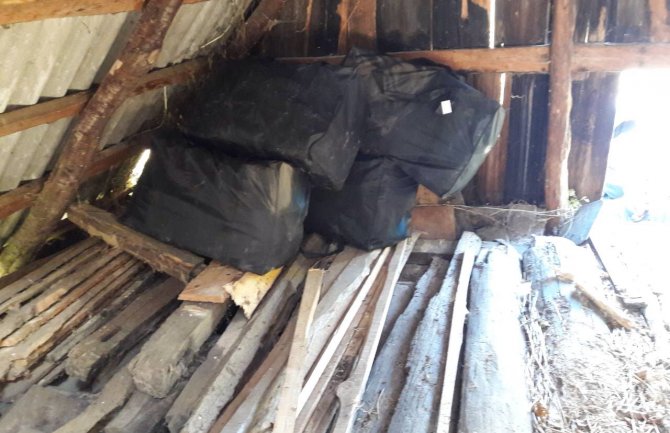 Gusinje: U napuštenoj kući policija pronašla 110,5kg skanka