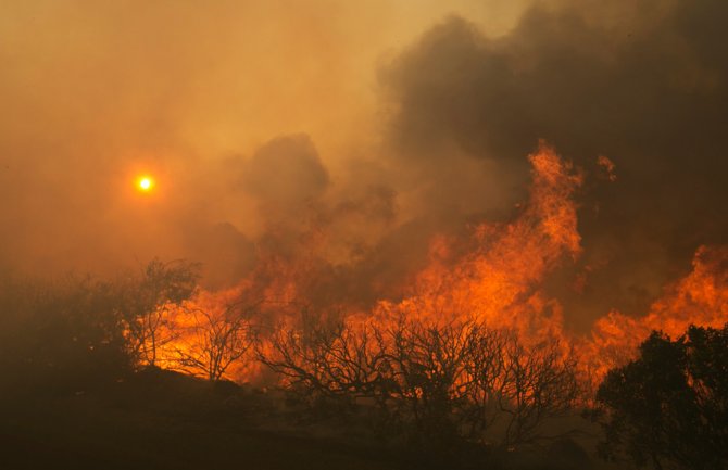 Kalifornija: Najmanje deset mrtvih u požarima koji od juče bukte