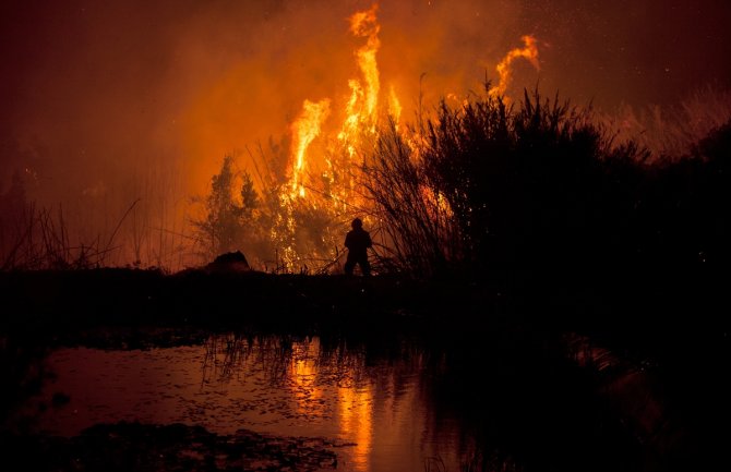 U Portugalu i Španiji 30 smrtno stradalih u požarima(FOTO)