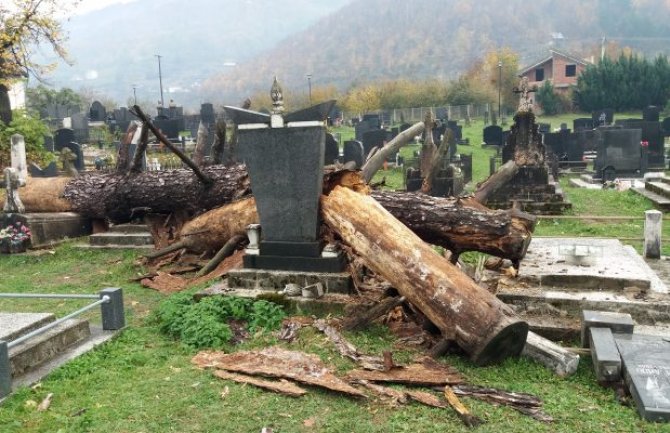 Bijelo Polje: Pao bor, polomio spomenike