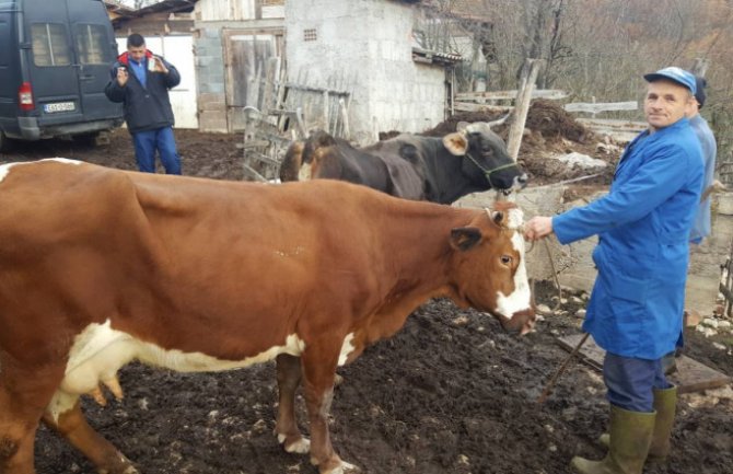 Naser Orić povrtaniku kojem su otrovane krave kupio dvije
