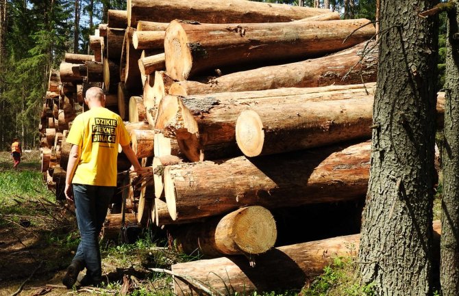 Prestanite da siječete šumu ili kazna od 100 000 eura dnevno!