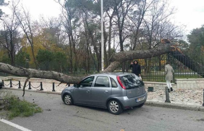 Podgorica: Stablo palo na automobil, saobraćaj u prekidu 