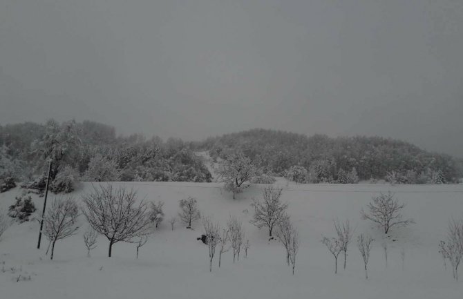 Poslijepodne razvedravanje, na Žabljaku 75 cm snijega